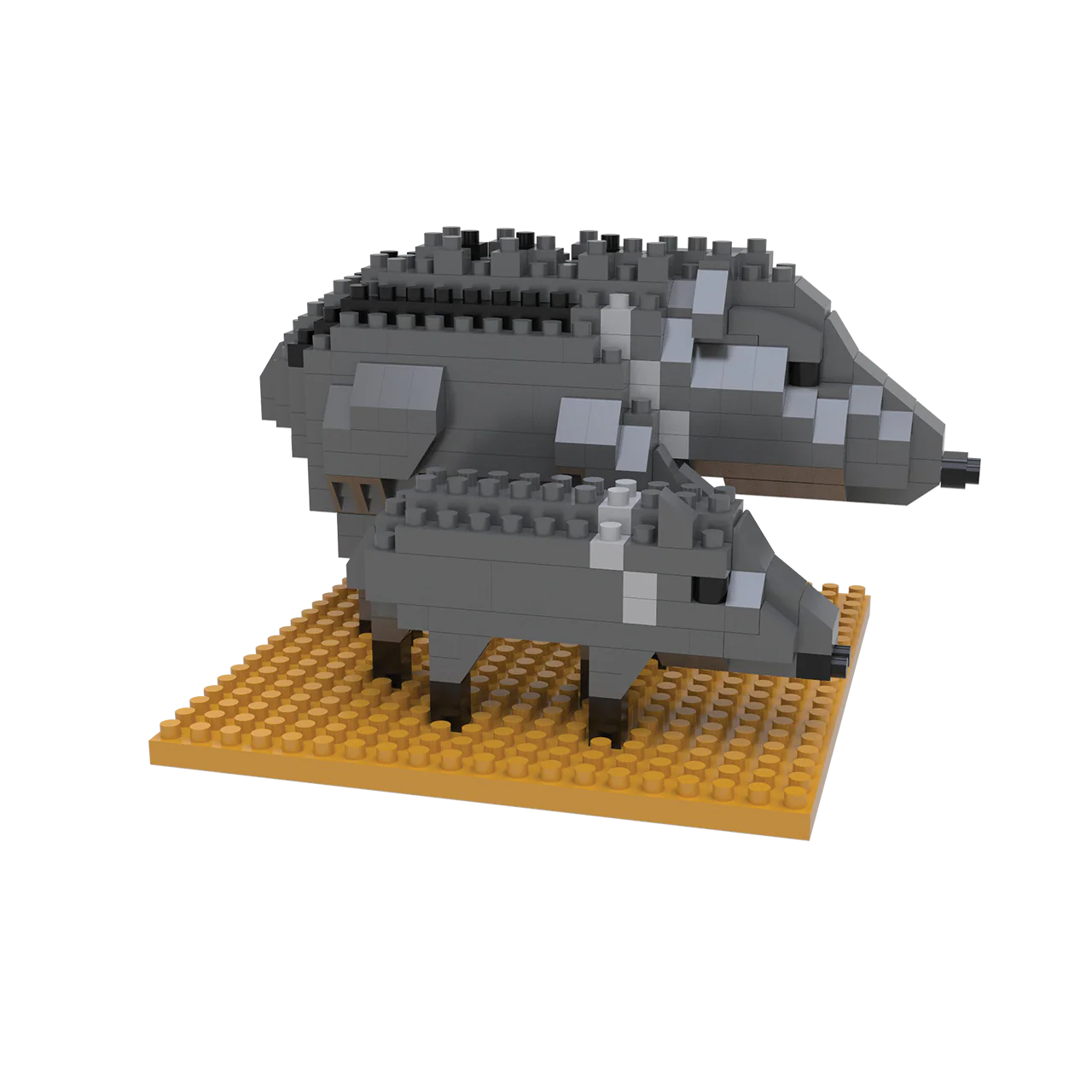 Javelina & Baby - Image 8