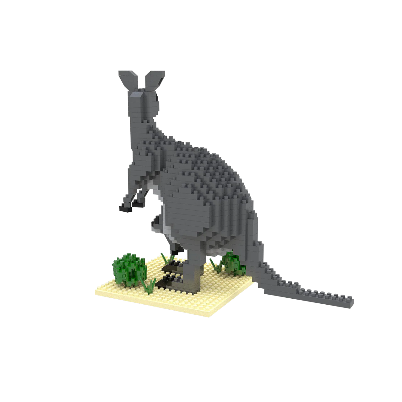 Kangaroo - Image 4