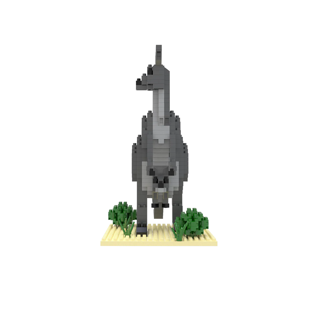 Kangaroo - Image 5