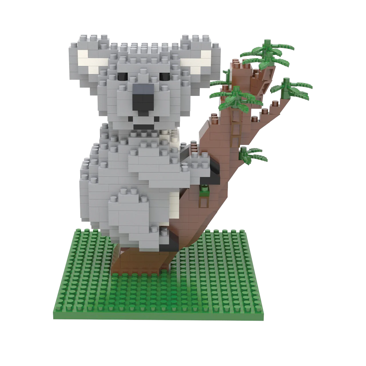 Koala - Image 3
