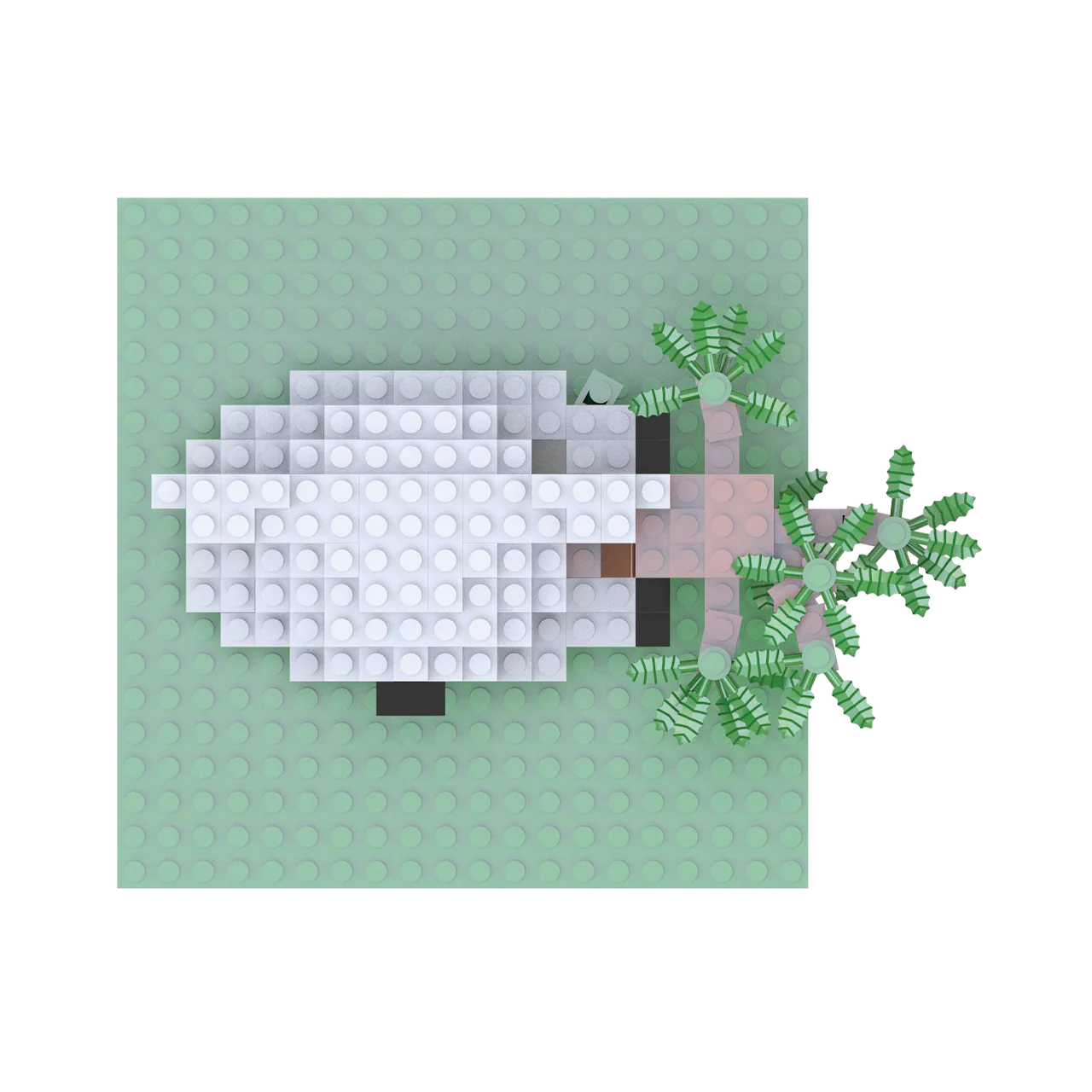 Koala - Image 4