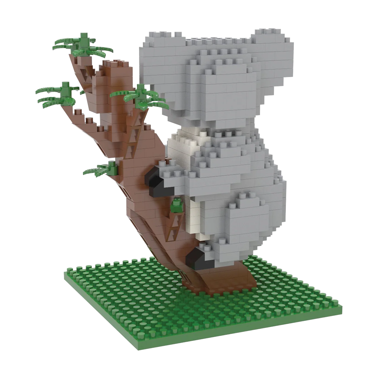 Koala - Image 7