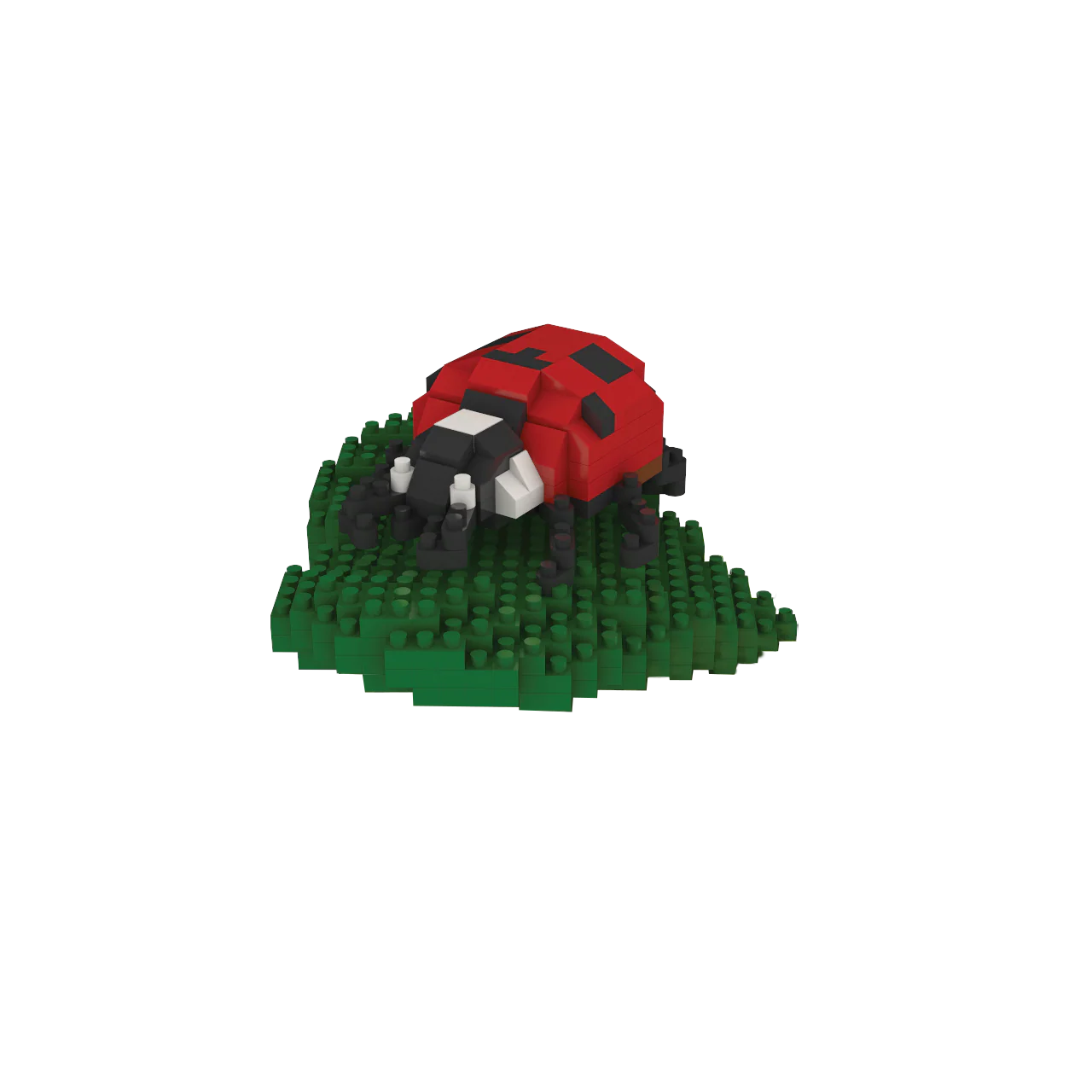 Ladybug - Image 5