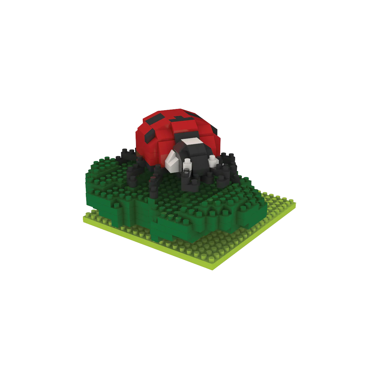 Ladybug - Image 7