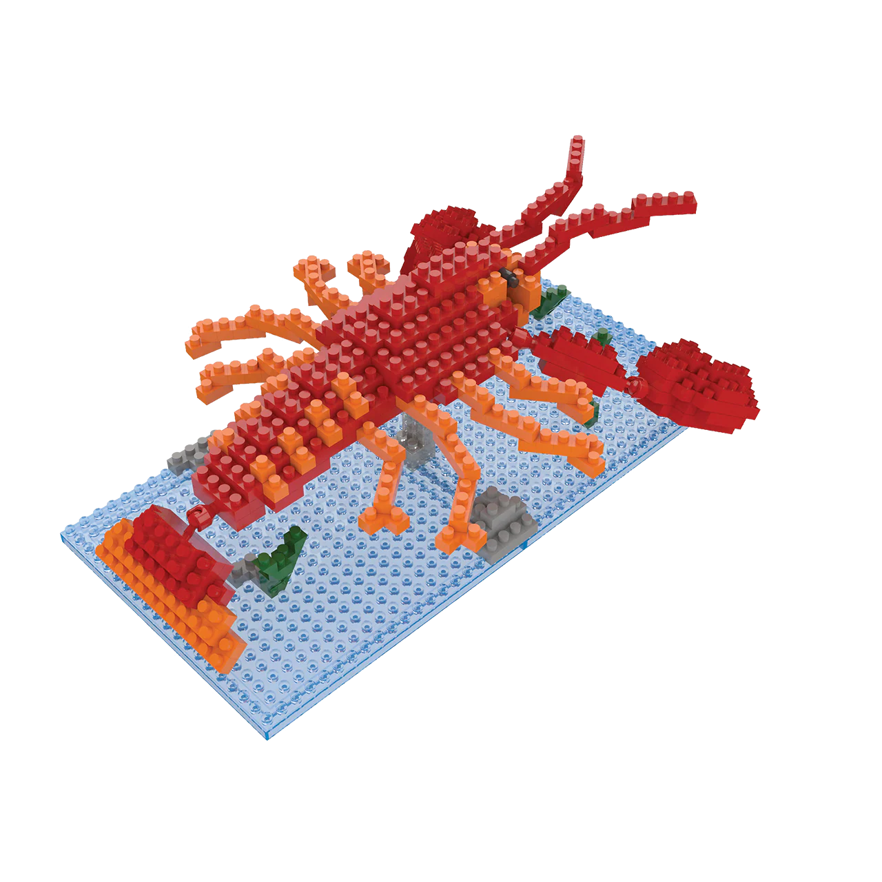 Lobster - Image 5