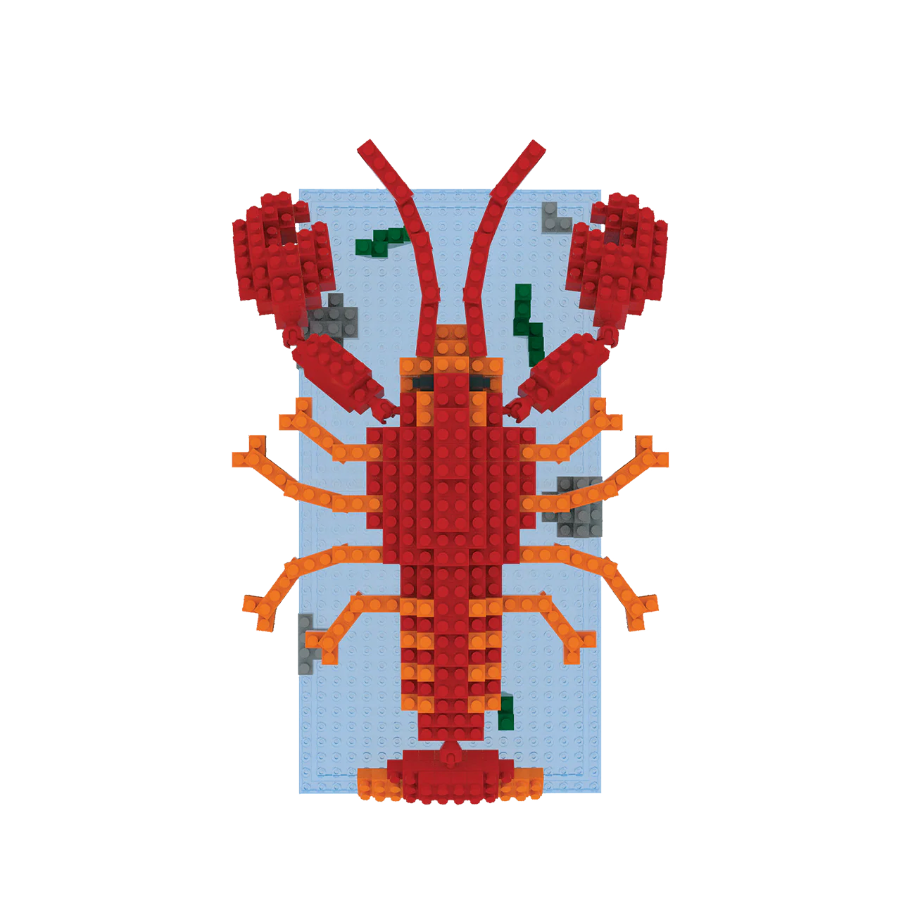 Lobster - Image 7