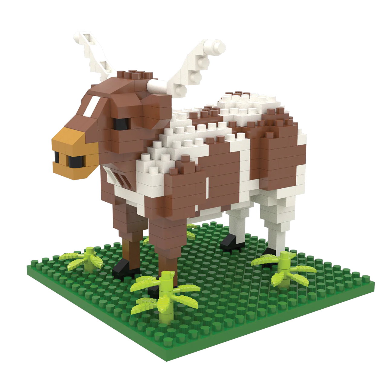 Longhorn - Image 6