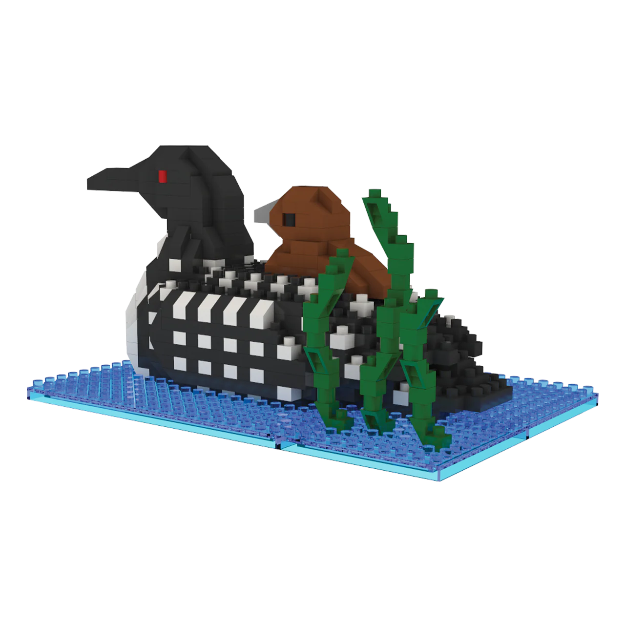 Loon - Image 3