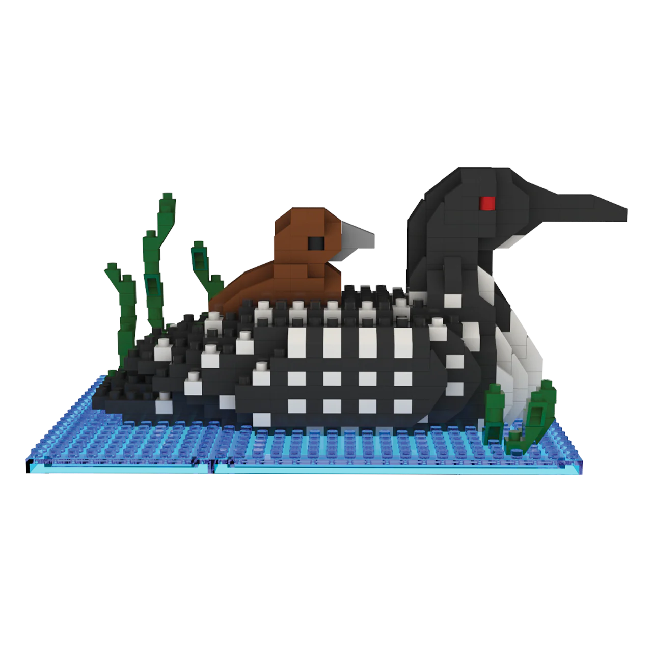 Loon - Image 4