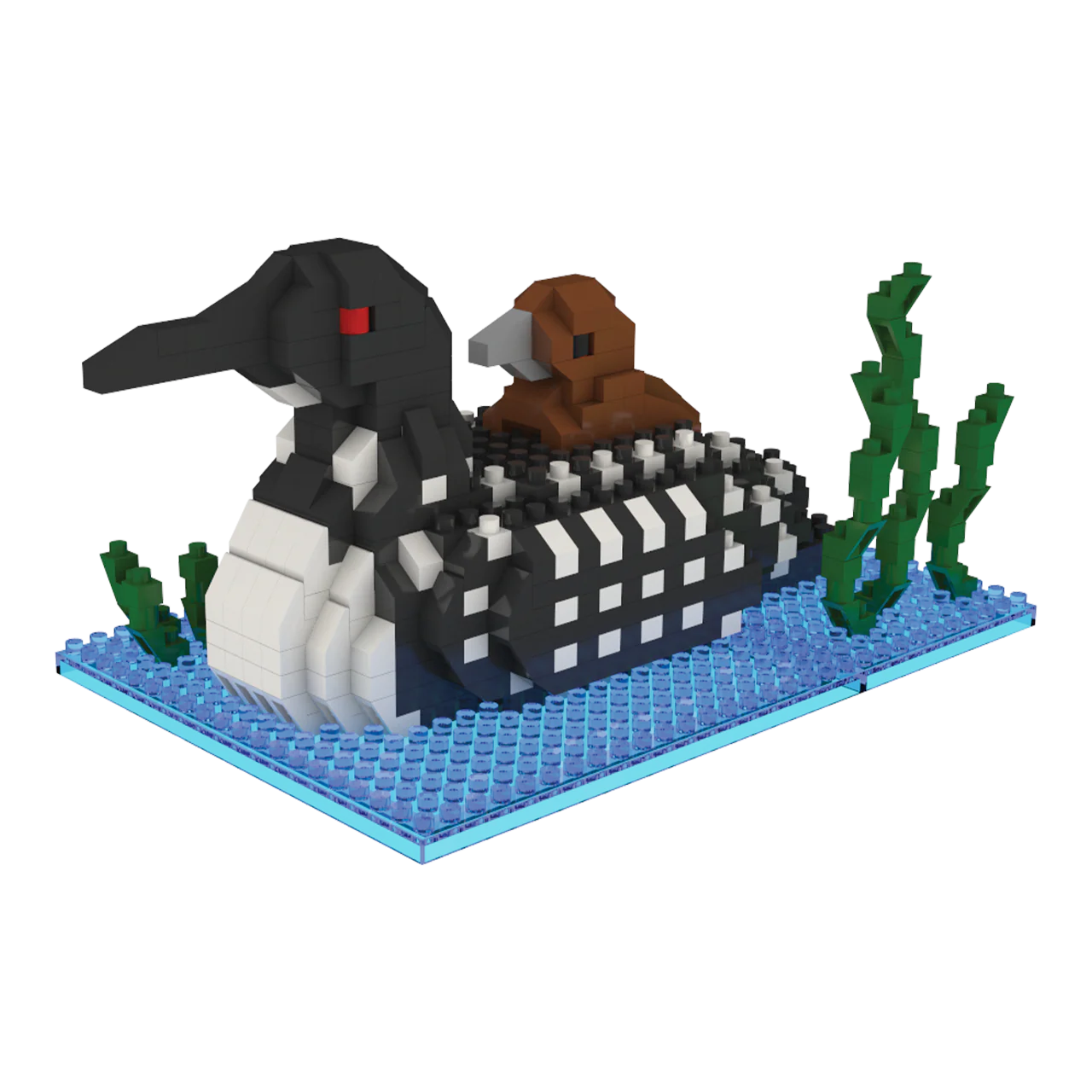 Loon - Image 6