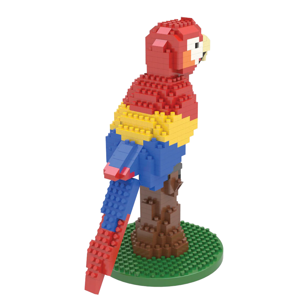Macaw - Image 5