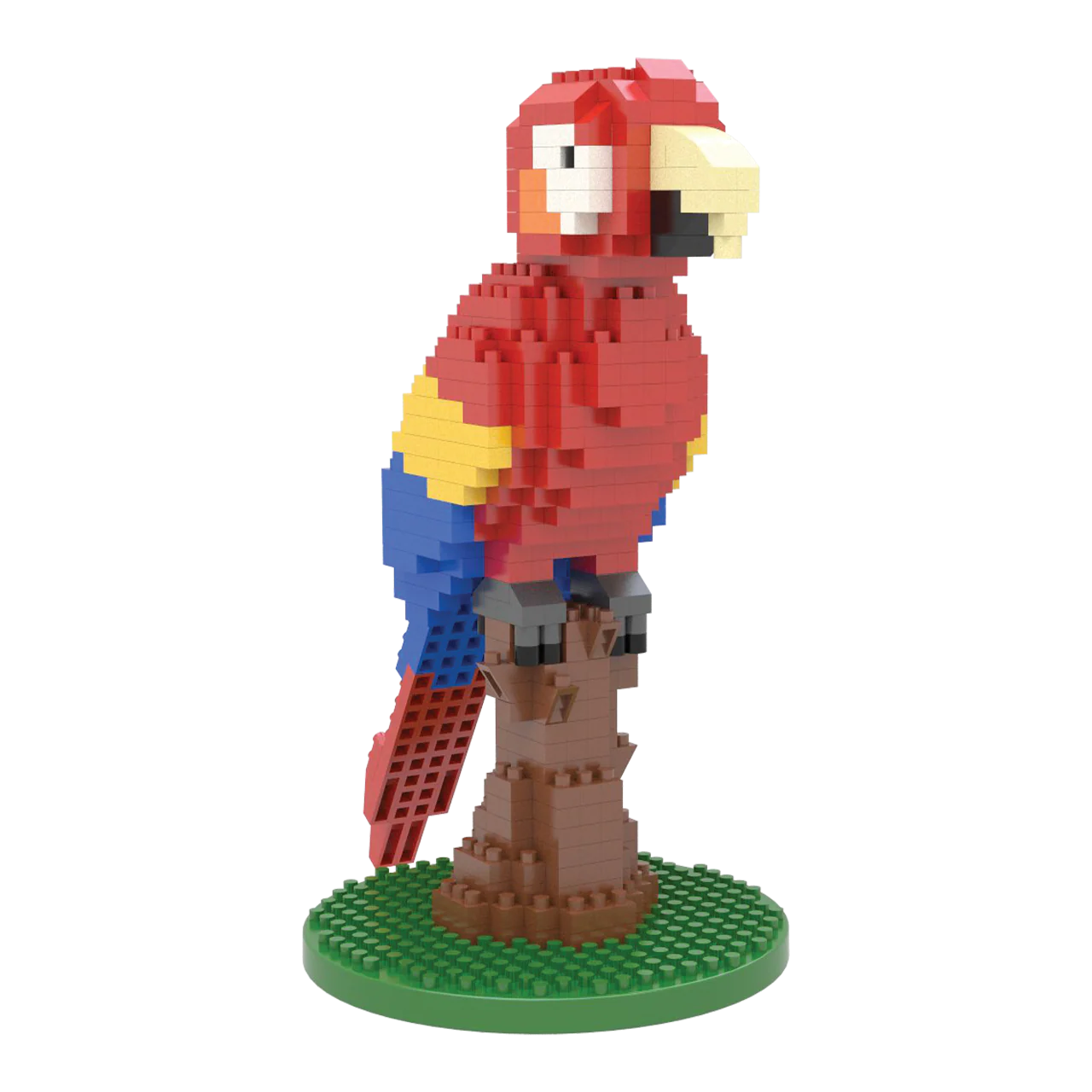 Macaw - Image 6