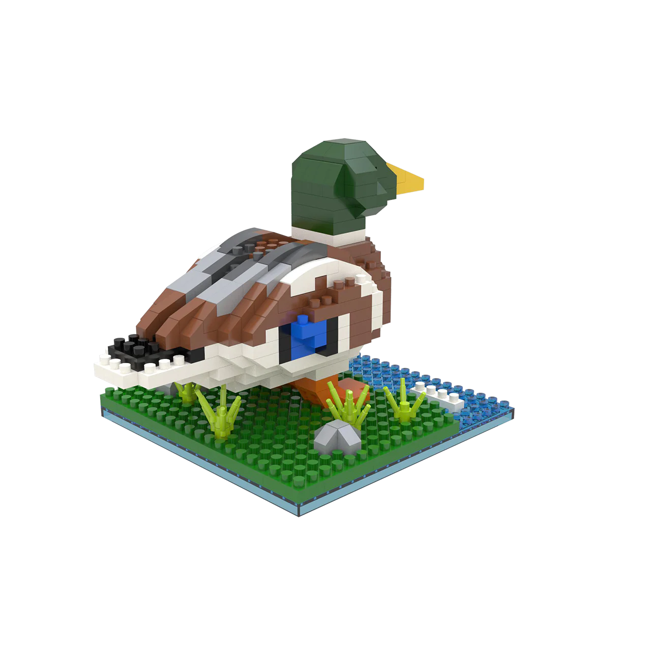 Mallard - Image 3