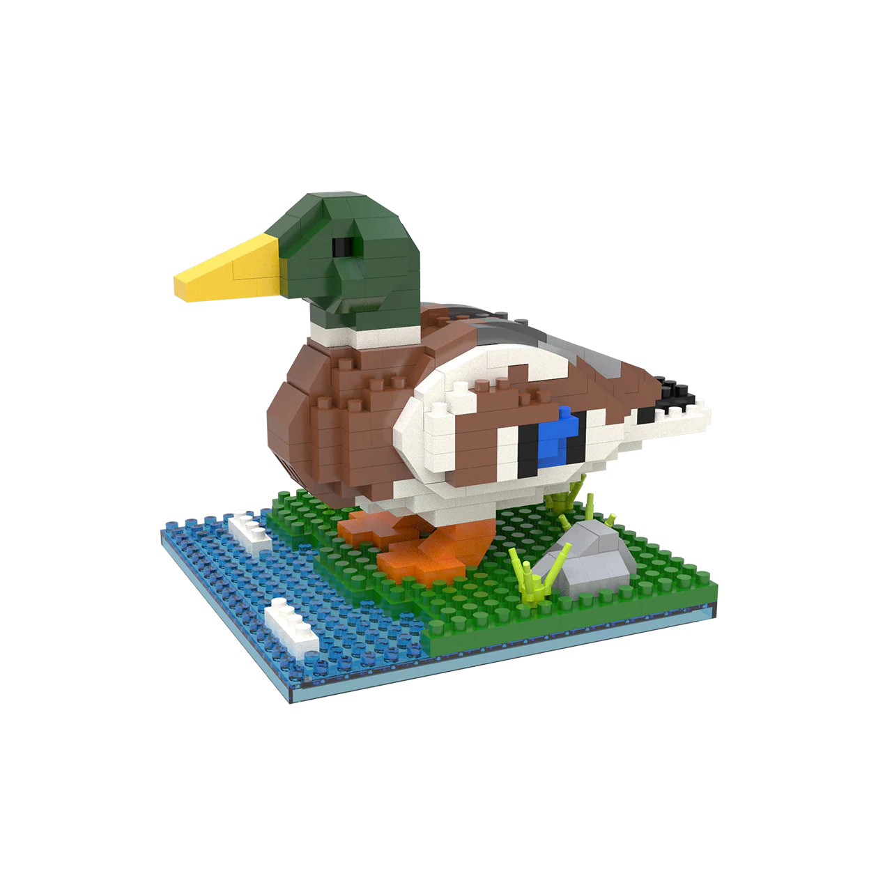 Mallard - Image 4