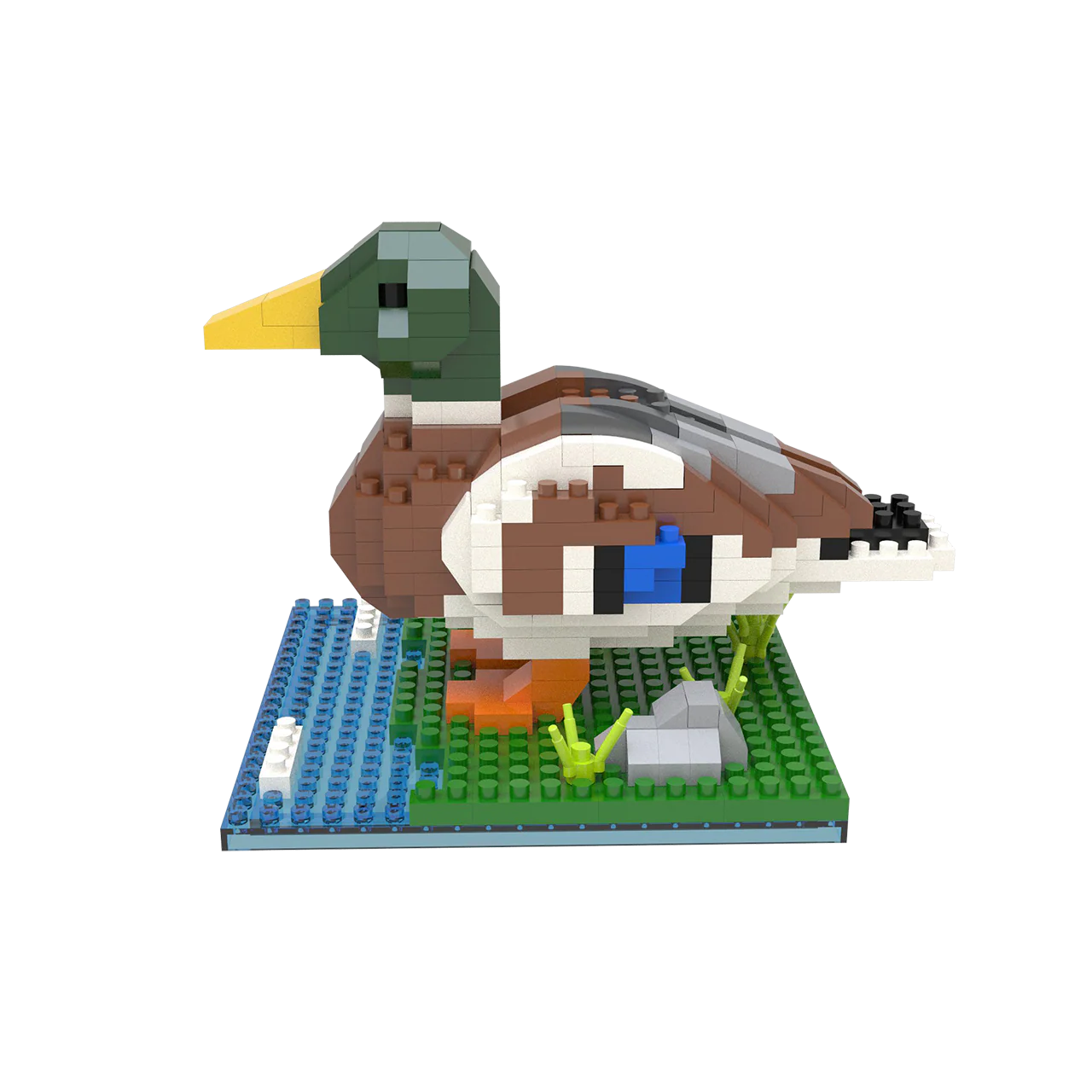 Mallard - Image 5