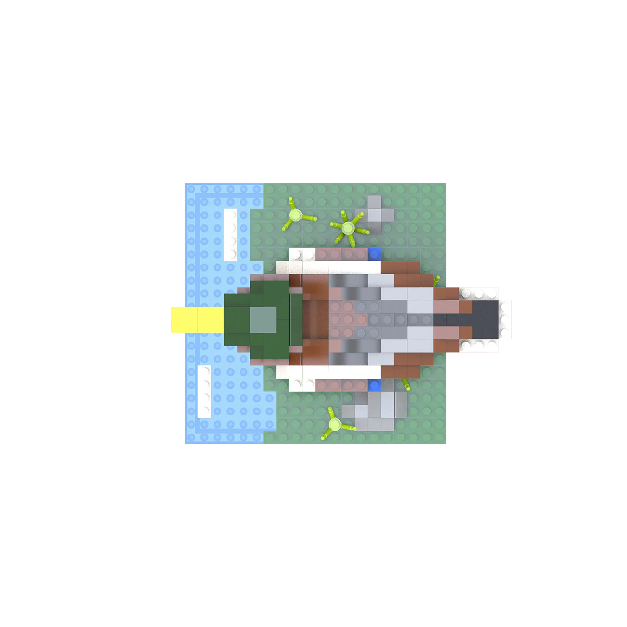 Mallard - Image 7