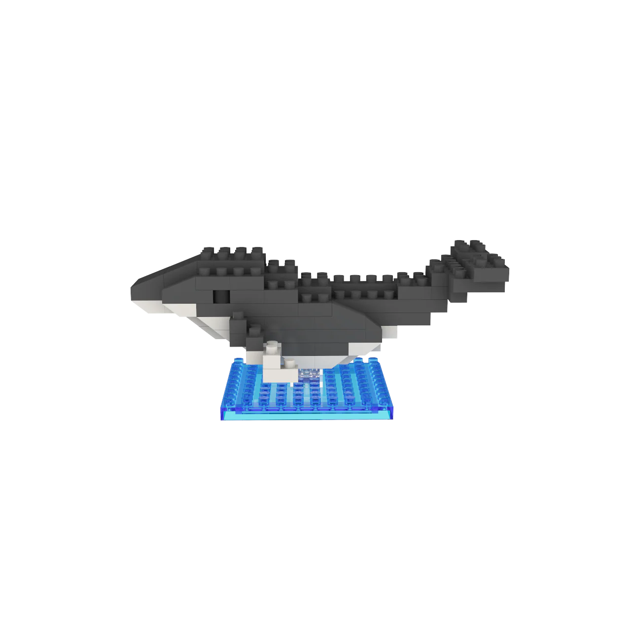 Marine Life Mystery Pack - Image 7