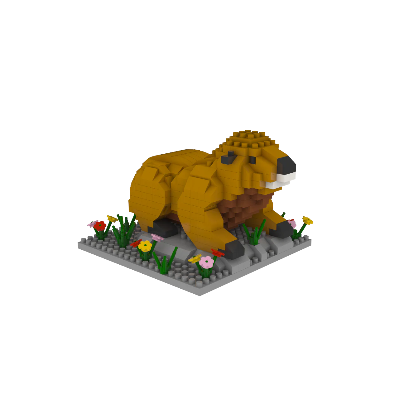 Marmot - Image 2