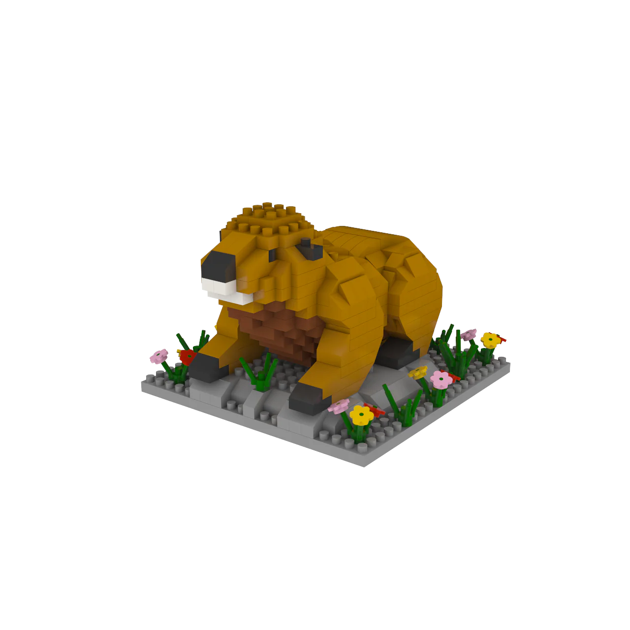 Marmot - Image 5