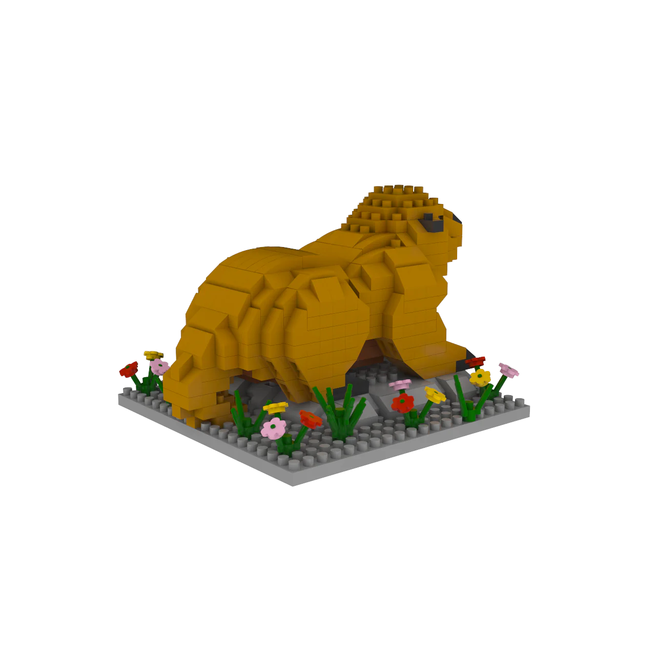 Marmot - Image 6