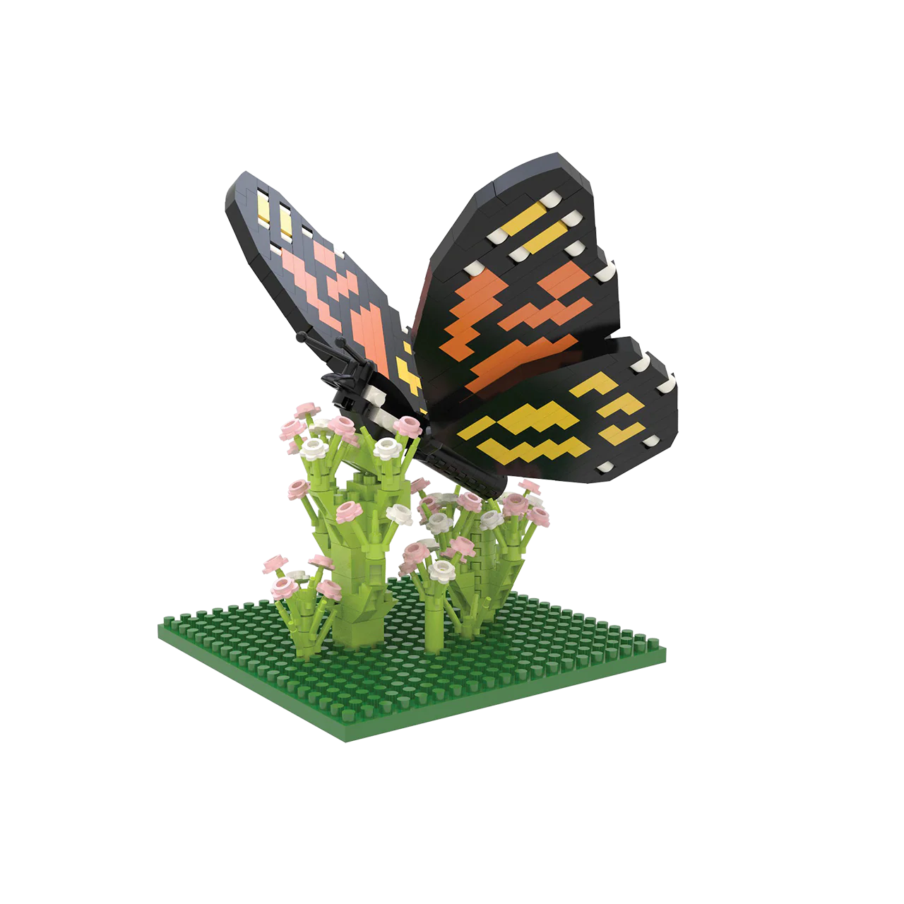 Monarch Butterfly - Image 4