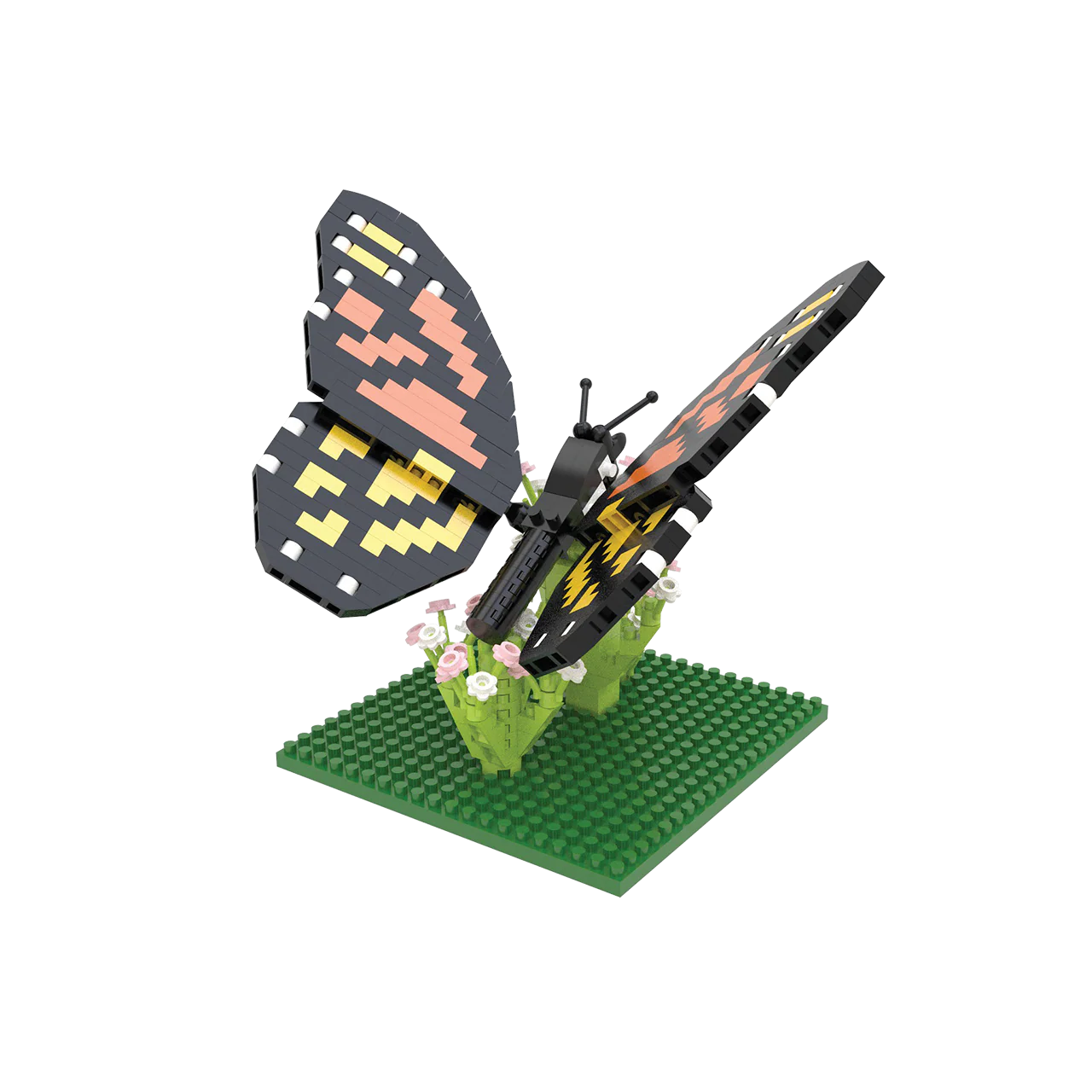 Monarch Butterfly - Image 5