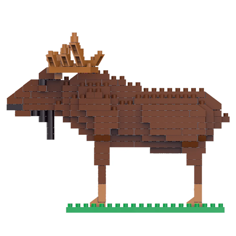 Moose - Image 5
