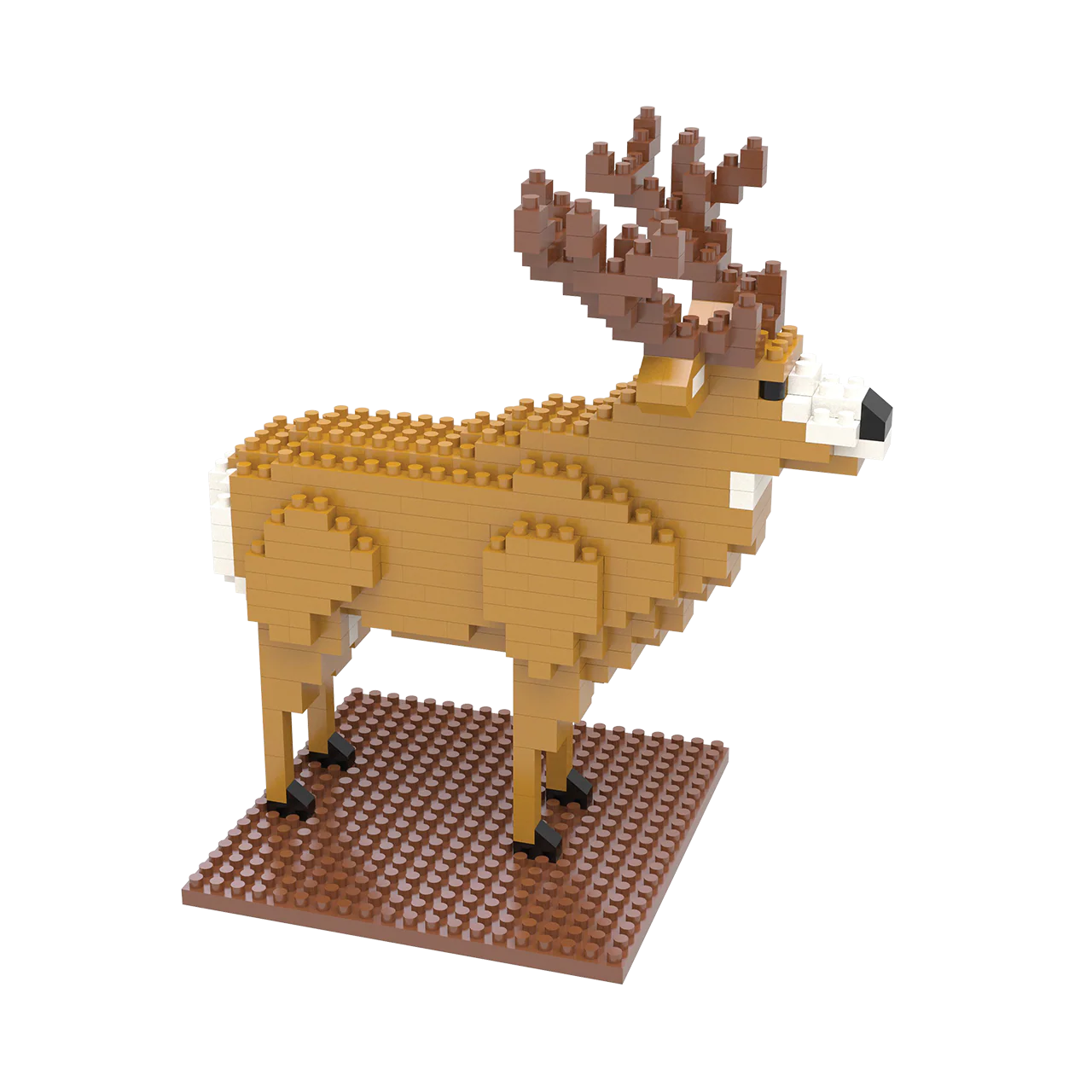 Mule Deer - Image 6