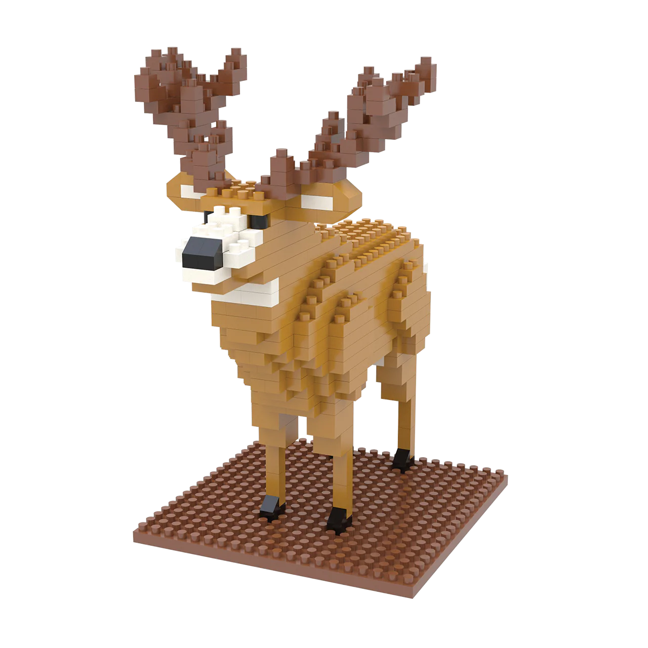 Mule Deer - Image 7