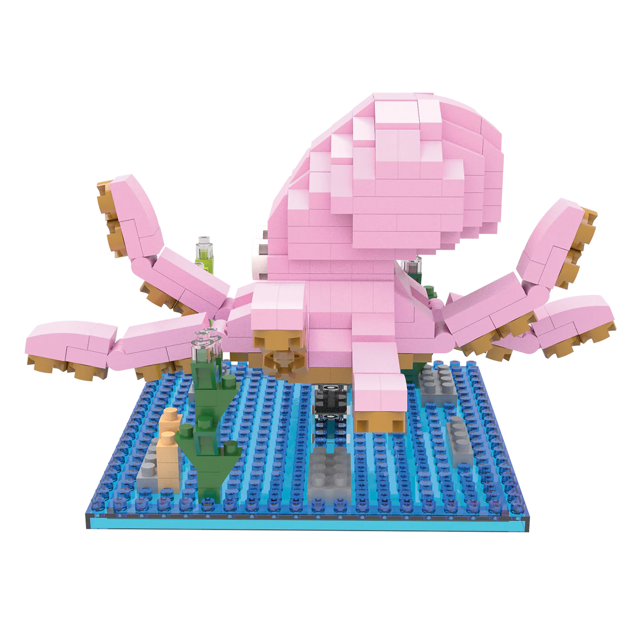 Octopus - Image 4