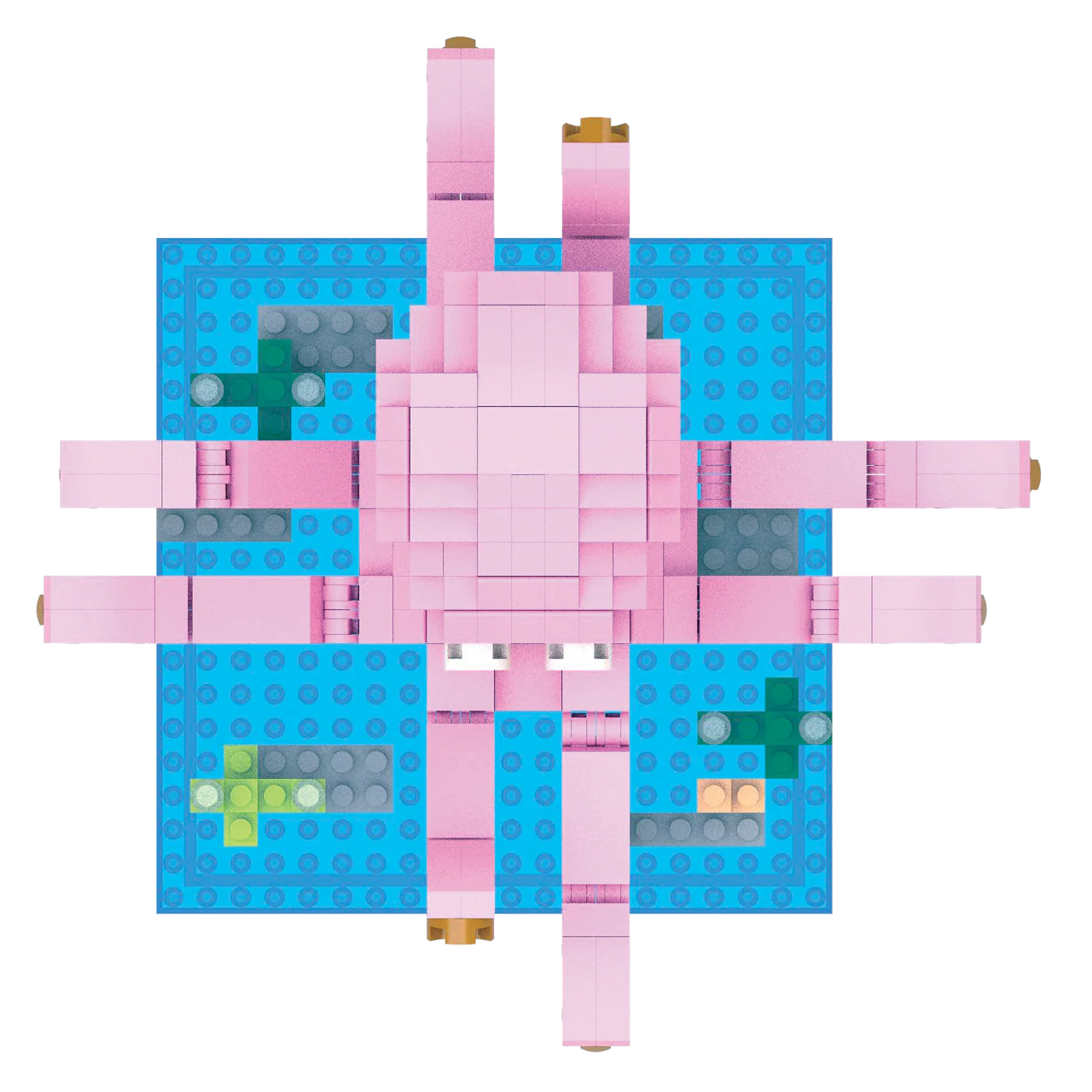 Octopus - Image 5