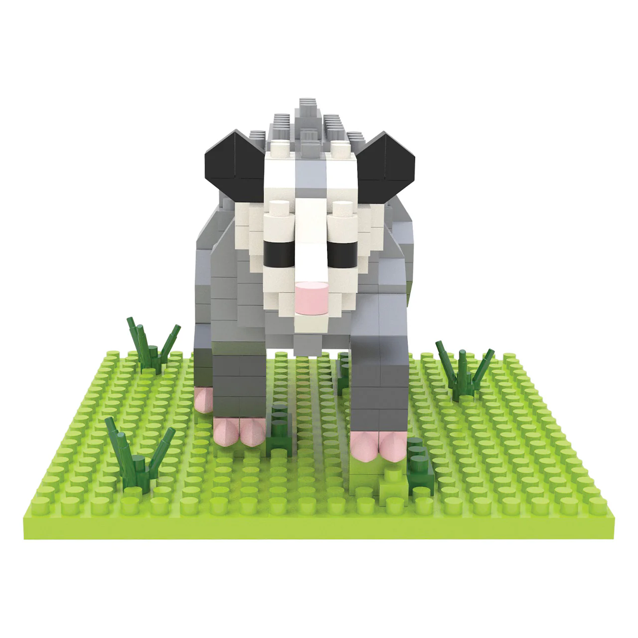 Opossum - Image 2
