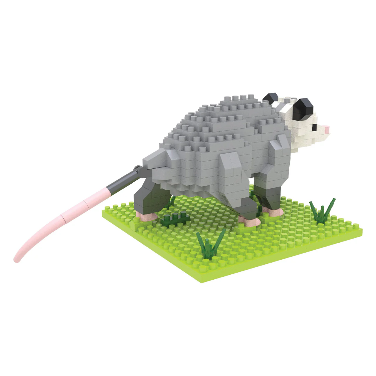 Opossum - Image 3