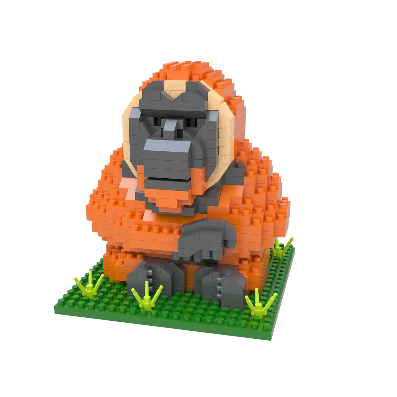 Orangutan - Image 2