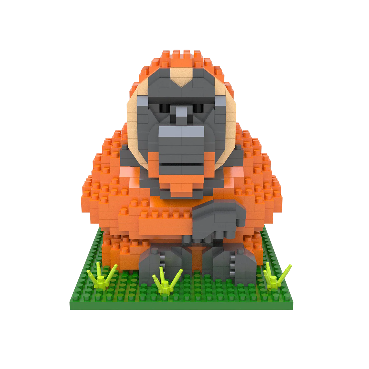 Orangutan - Image 4