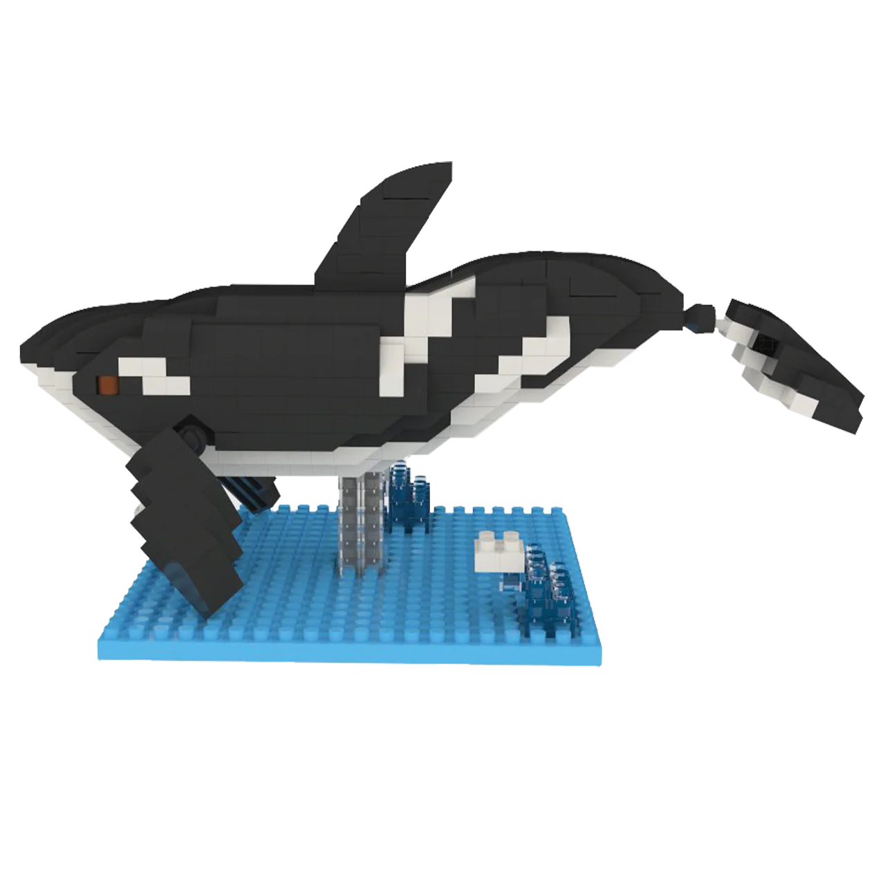 Orca - Image 6