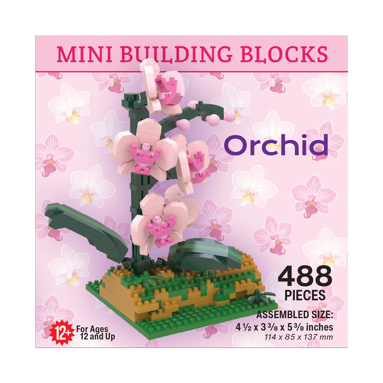 Orchid - Image 4