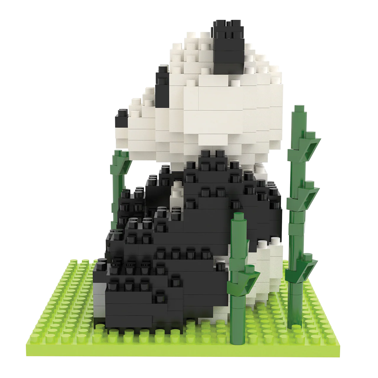 Panda - Image 6