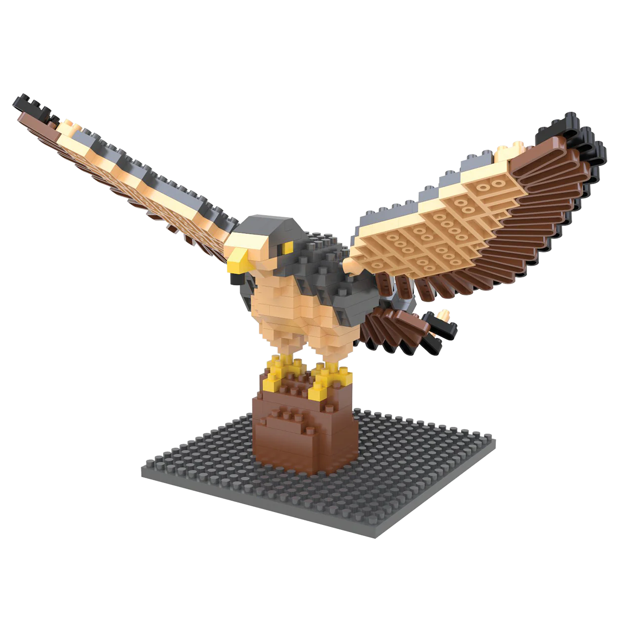Peregrine Falcon - Image 3