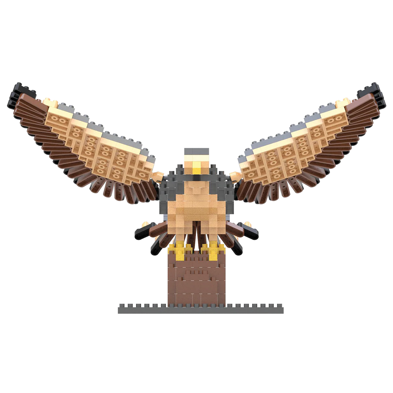 Peregrine Falcon - Image 6