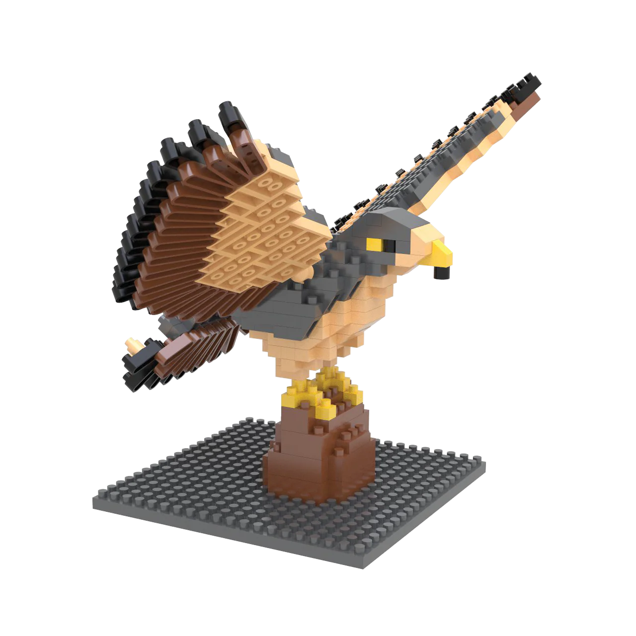 Peregrine Falcon - Image 7