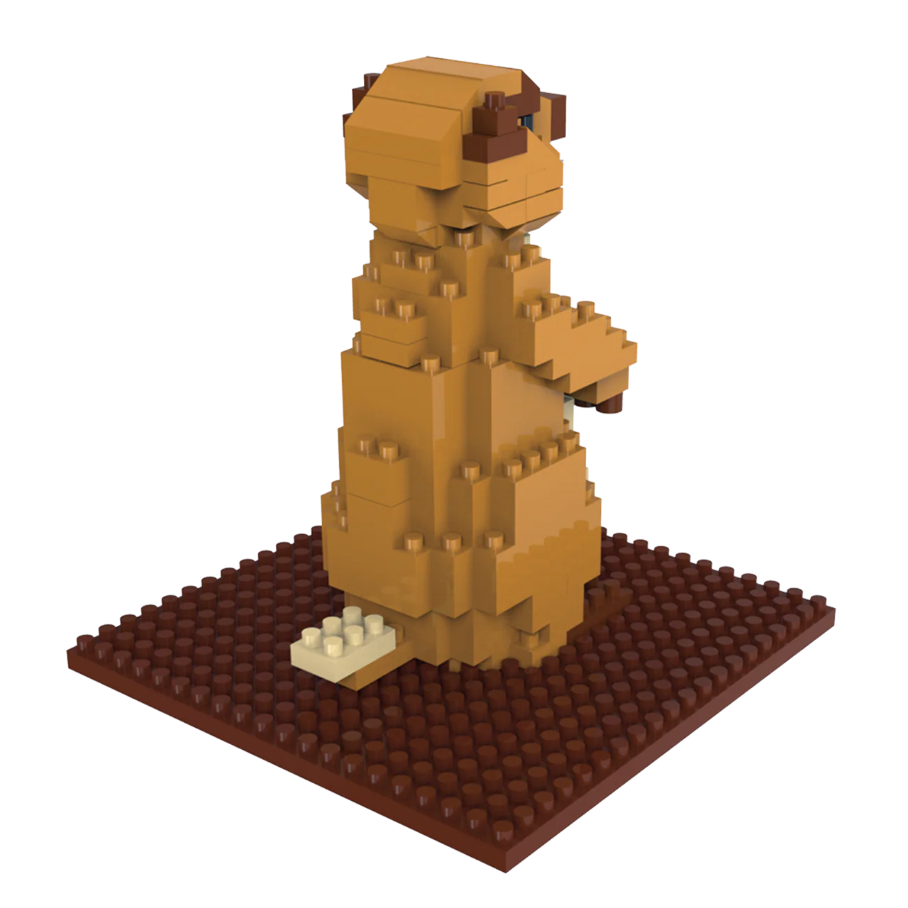 Prairie Dog - Image 4
