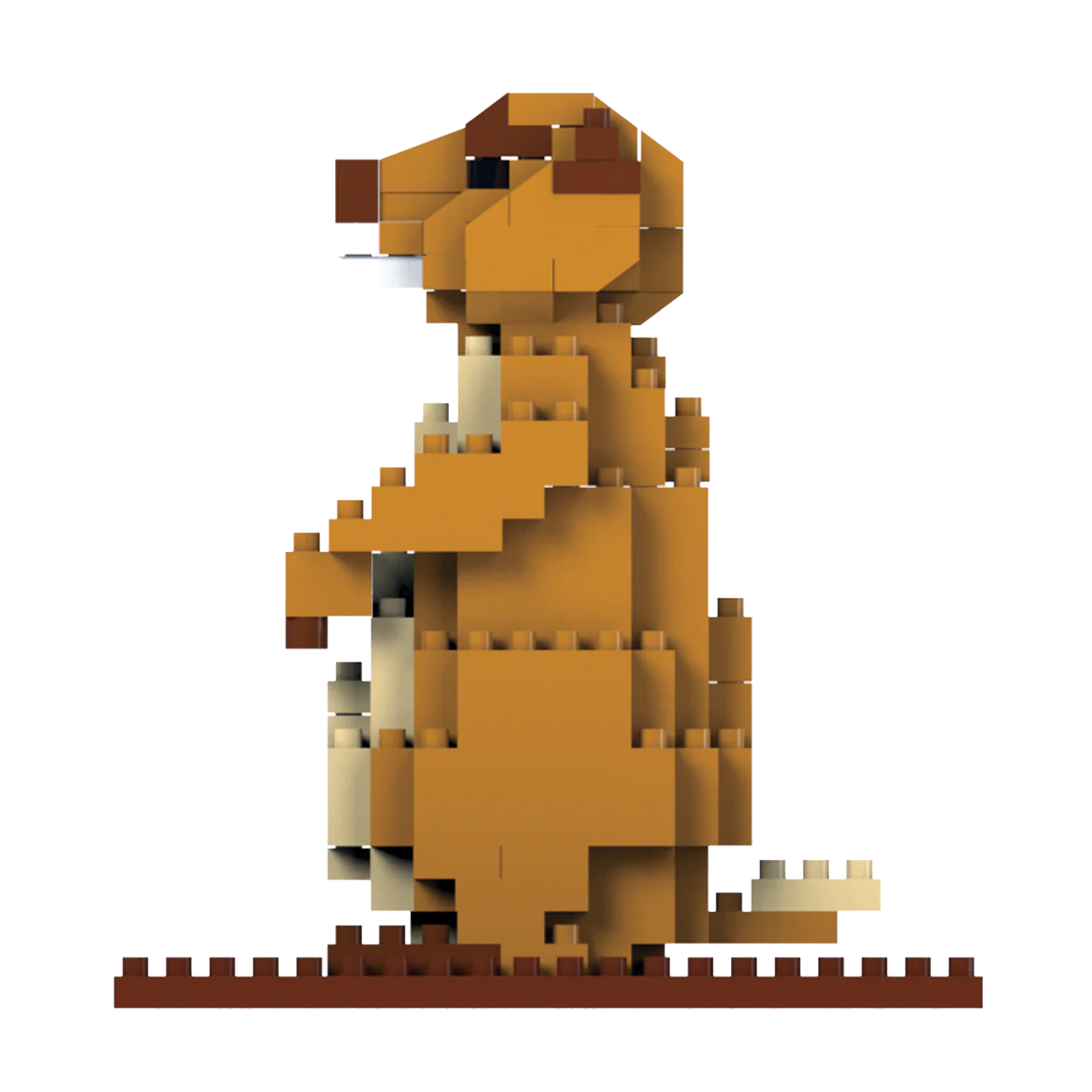 Prairie Dog - Image 6