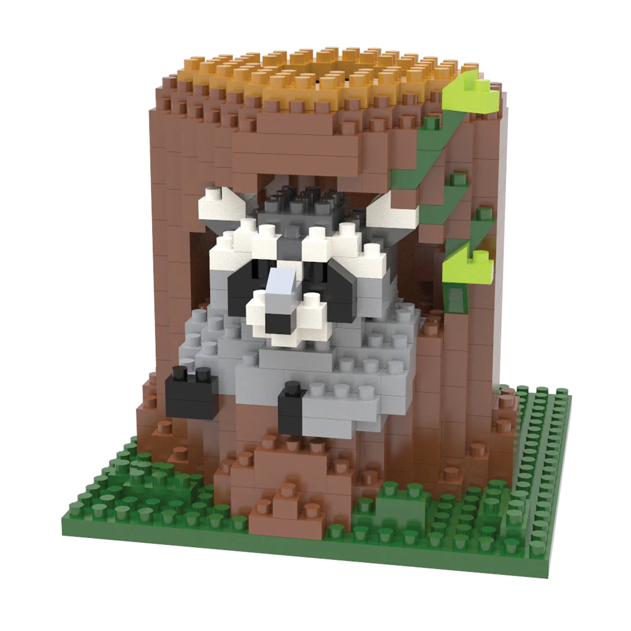 Raccoon - Image 3