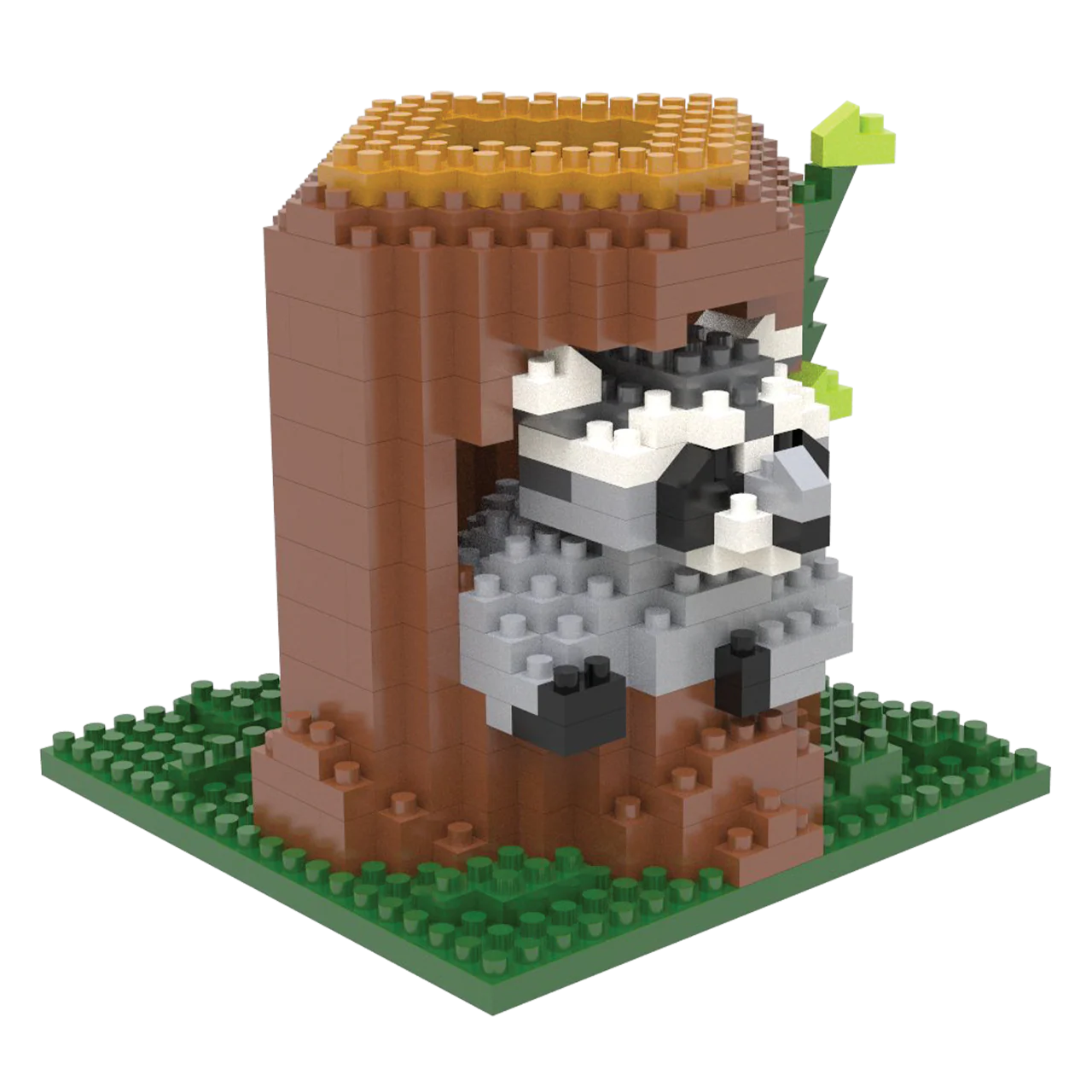 Raccoon - Image 6