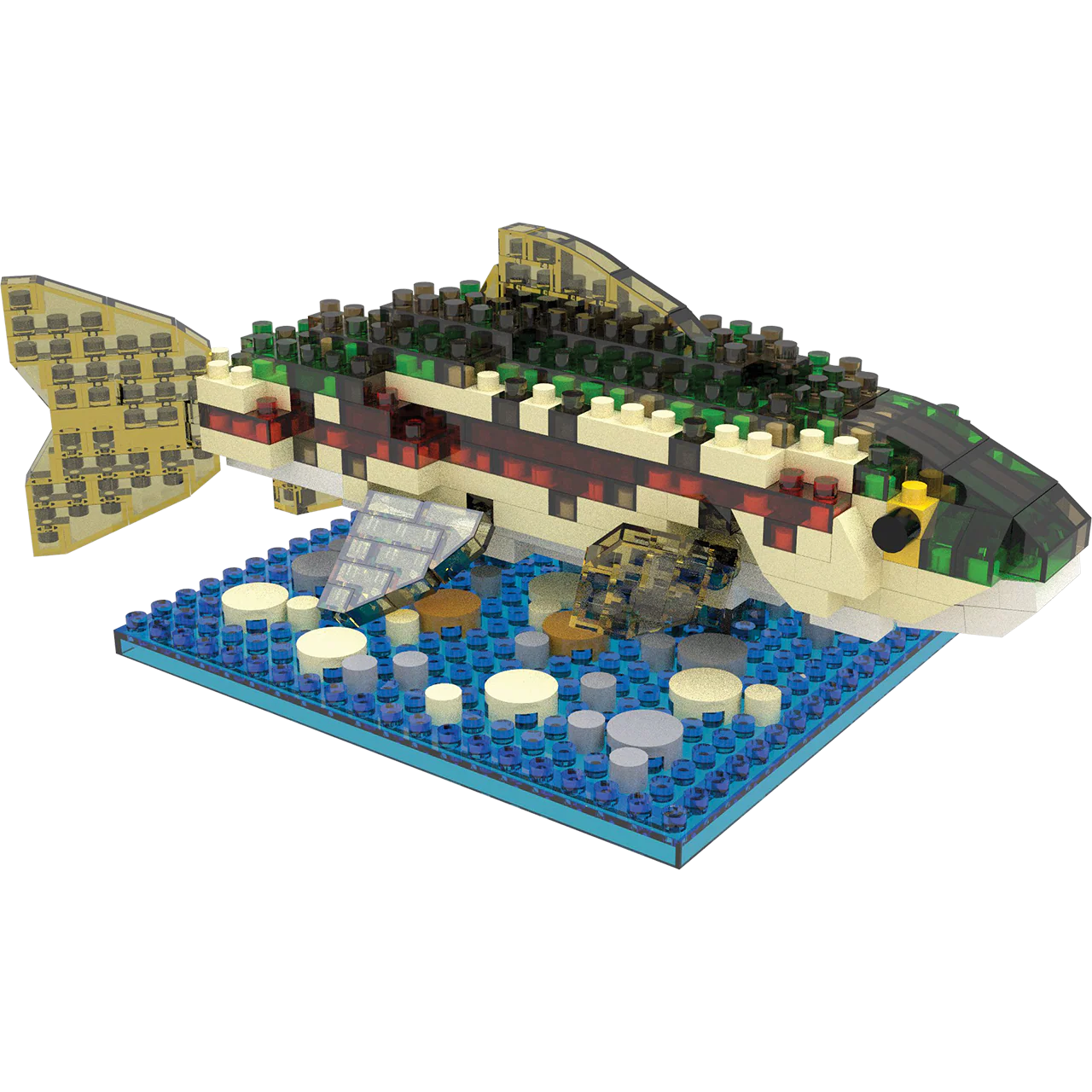 Rainbow Trout - Image 3
