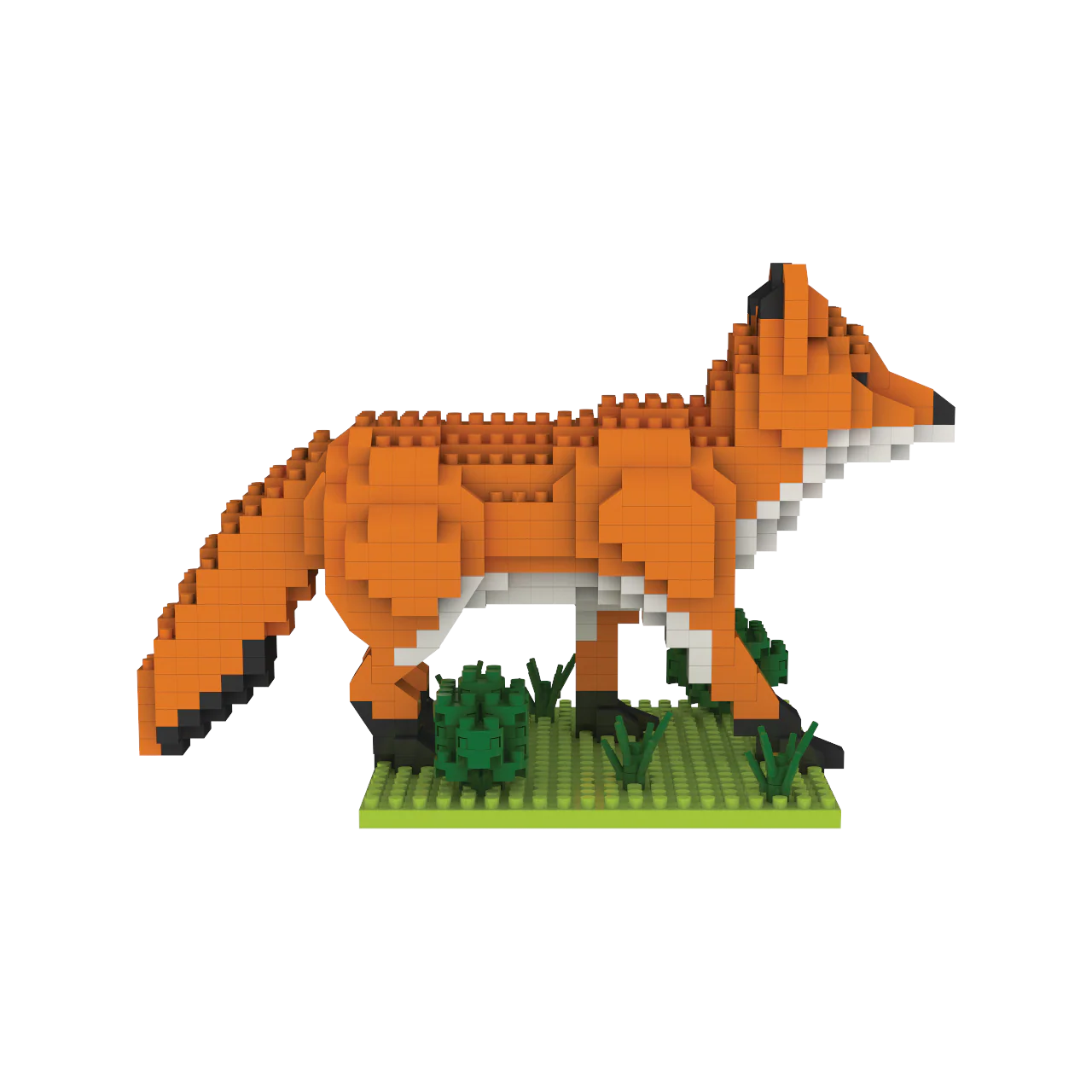 Red Fox - Image 3