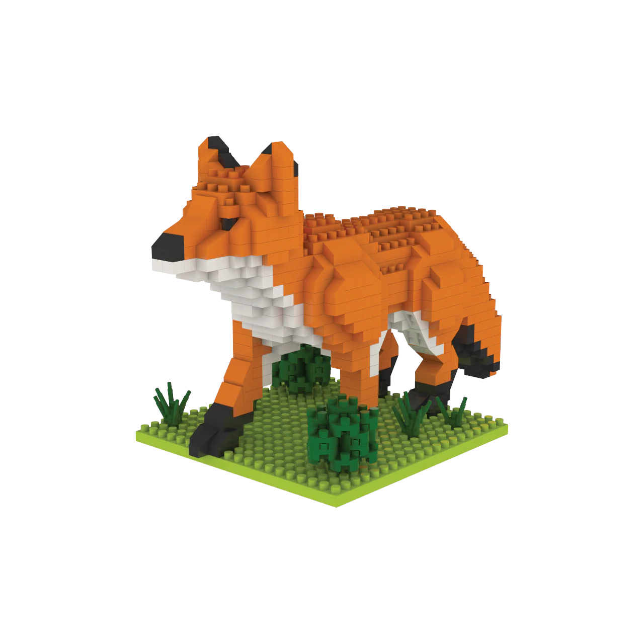 Red Fox - Image 5