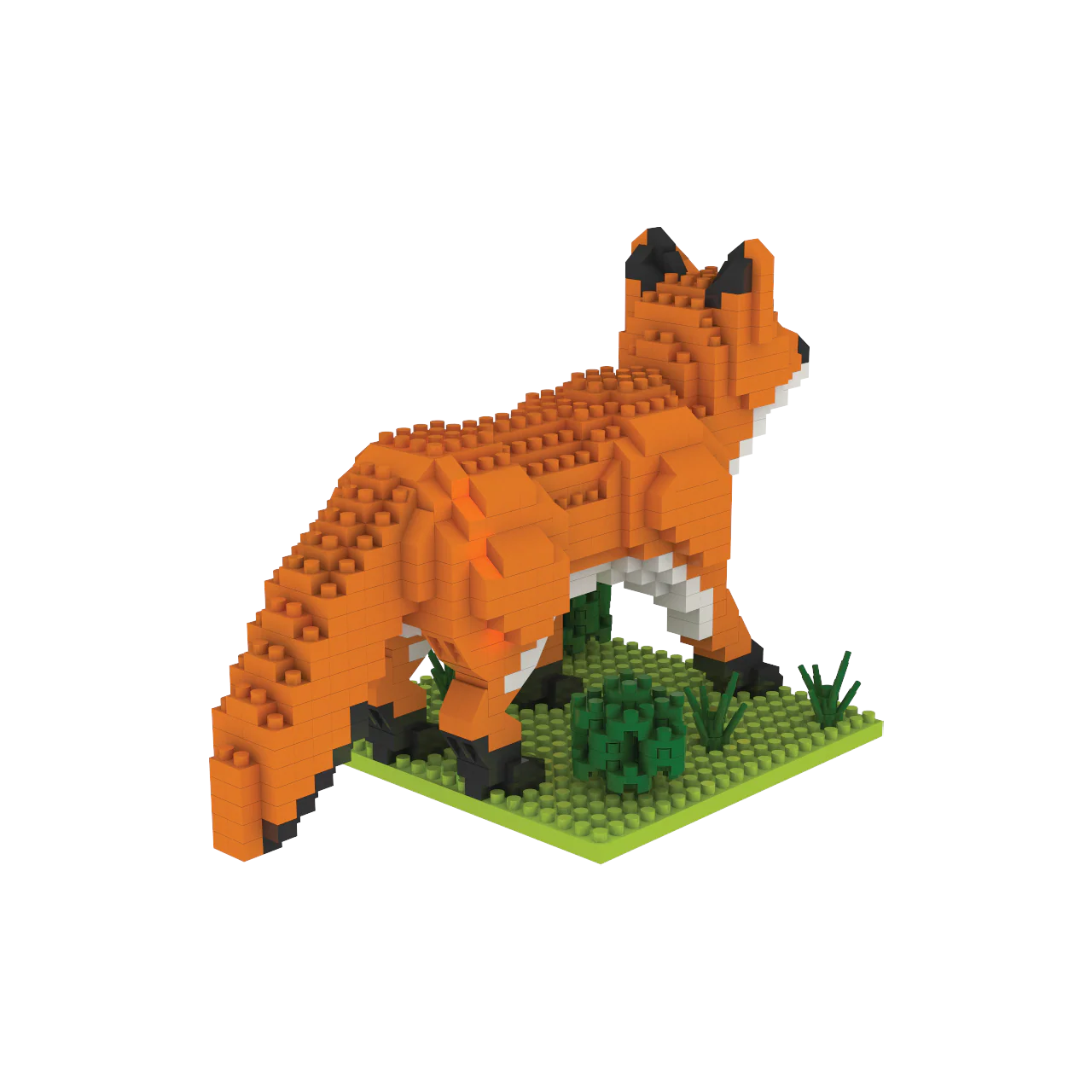 Red Fox - Image 6