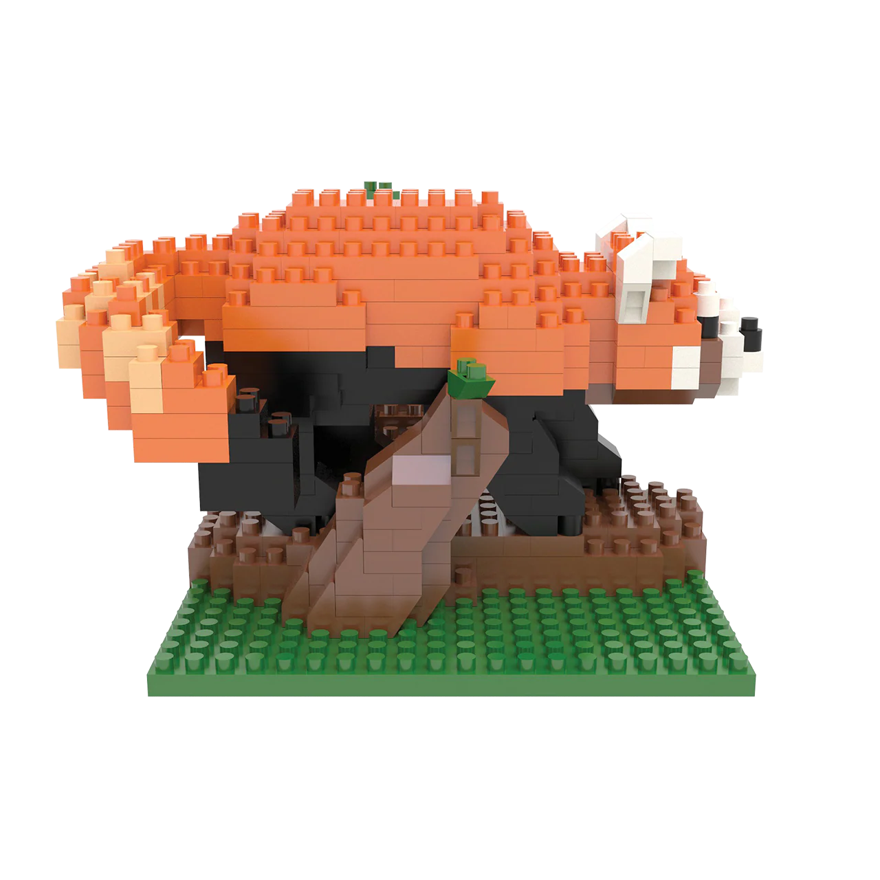 Red Panda - Image 3